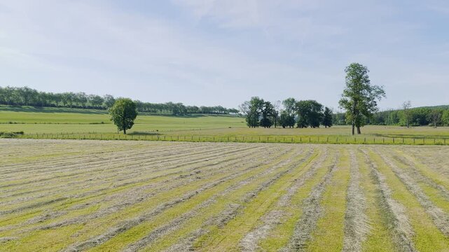 Wide shot of a rural landscape in the Yonne region of France, showing a freshly mown field with rows of cut grass, scattered trees, and green rolling hills under a clear blue sky. The peaceful