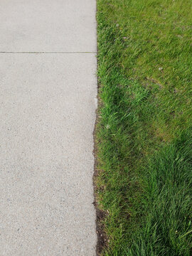 Edge between concrete walkway and grass. Close-up of grass adjacent to a paved surface. Abstract textures and backgrounds.