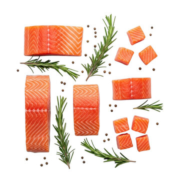 Fresh raw salmon fillets and cubes with rosemary sprigs and black peppercorns isolated on transparent background