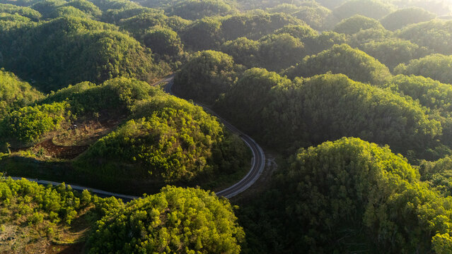 Aerial view of a winding asphalt road cutting through lush green forested hills under warm golden hour sunlight in Indonesia.