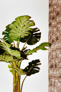 Large fake Green Plant Stands Near Patterned Curtain on White Wall