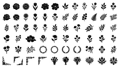 Black Floral Silhouette Vector Set with Roses Leaves Botanical Elements and Decorative Flowers © Sifat