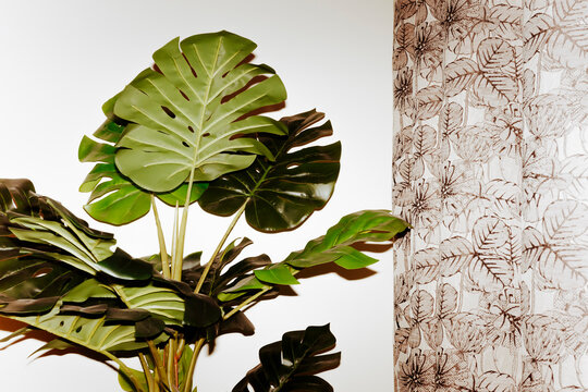 Large fake Green Plant Stands Near Patterned Curtain on White Wall
