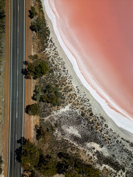 Aerial view of Cranbrook Pink Lakes with its vibrant pink water, white salt crust, and adjacent asphalt road lined with native trees in Cranbrook, Western Australia, Australia.