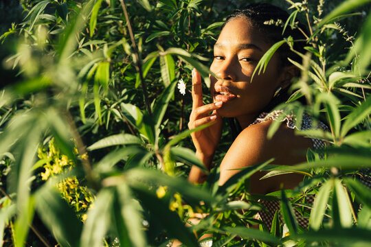 Young woman surrounded by greenery in warm evening light
