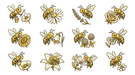 Honey bees pollinating diverse wildflower species set. © Kinasih