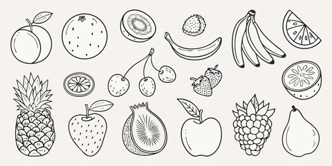 Fototapeta premium Collection Of Fruit Sketches Black And White Line Art Illustration