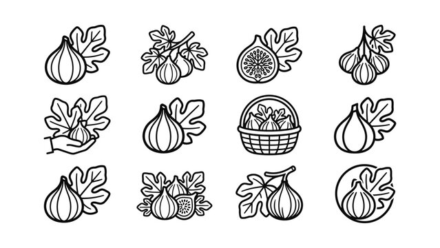Fig Fruit Icons Collection Outline Simple Vector Graphics