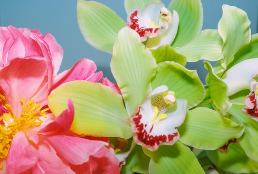 Colorful flowers stand together against a blue background