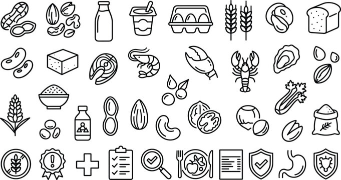 Food allergen line icon set featuring milk eggs peanuts wheat seafood gluten free sensitivity symbols flat vector illustration