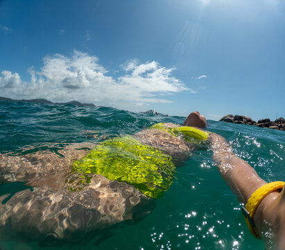UGC Floating in Clear Water Under Blue Sky at Beach
