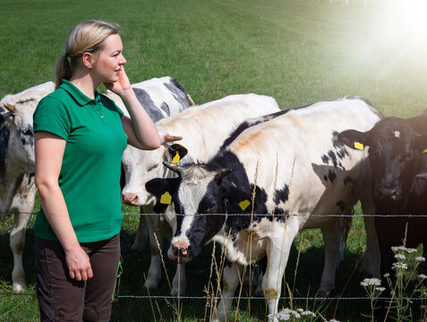 Eine junge Landwirtin in braun-gr&uuml;ner Arbeitskleidung steht l&auml;chelnd in Ganzk&ouml;rperansicht auf einer gr&uuml;nen Sommerweide, w&auml;hrend direkt hinter ihr rot-bunte Holstein-K&uuml;he grasen.
