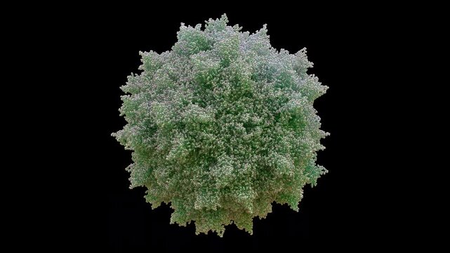 3D AAV6 Adeno-Associated Virus Serotype 6 capsid 60-mer Replication-defective Non-pathogenic Primarily for Airway Epithelium, Skeletal Muscle, and Hematopoietic Stem Cells HSCs Delivery as Cryo-EM.