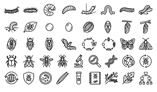 larva, larvae, caterpillar, grub, maggot, silkworm, inchworm, chrysalis, cocoon, pupa, insect, beetle, butterfly, moth, bug, entomology, biology, ecology, nature, wildlife, outline, lineart, icon, vec
