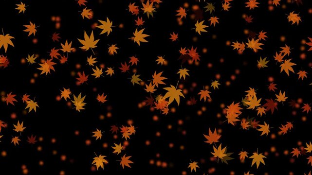 紅葉 もみじ 中 下降 紅葉色02 パターン03 ループ 10秒（透過背景）