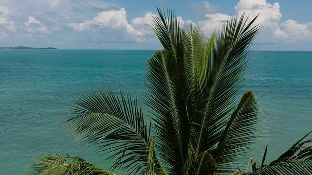 Tropical palm tree leaves in the foreground with turquoise sea and bright sky in the background. Ko Samui, Thailand.