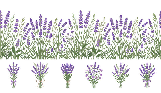 Seamless border with lavender flowers and bouquets