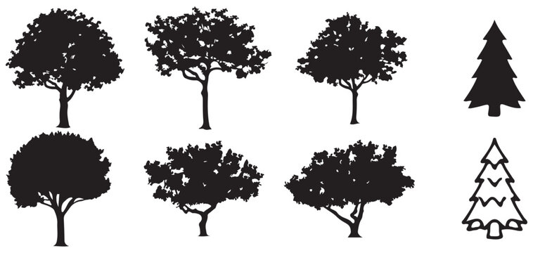 Collection of deciduous tree silhouettes for landscape and ecology design.  vector illustration eps 10