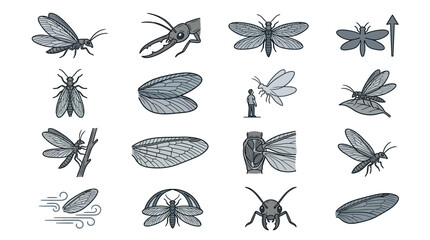 Mixed insect species hand-drawn sketches. © Muh