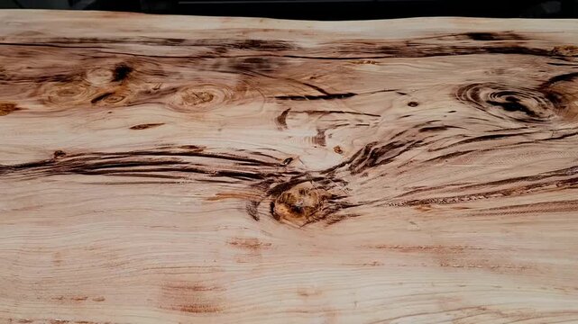 Applying varnish to the tree trunk that will be used as the table frame using a brush.