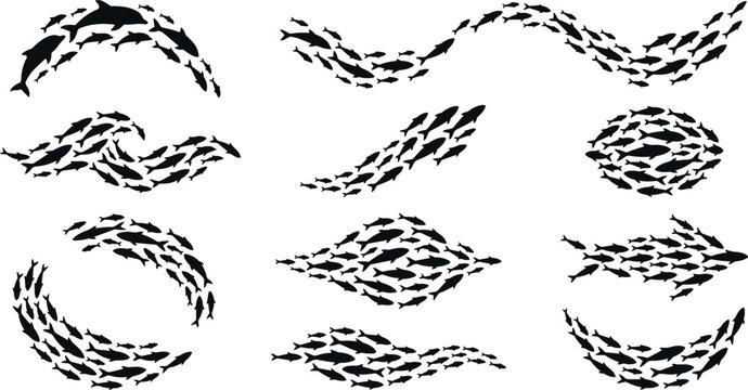 School of Fish Collection Marine Ocean Wildlife Vector Illustration Set