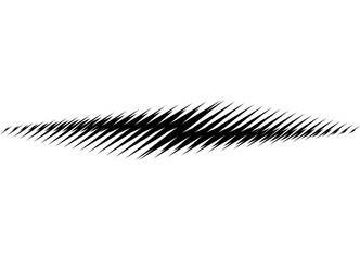 Striped vector pattern of black sharp lines on a white background. Modern design element for car body, sportswear, toy. Sporty vector background for labels, emblems, logos. © Larysa