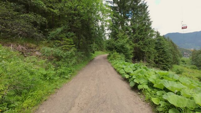 POV walking a mountain dirt road past burdock leaves with a ski lift cable car in the air