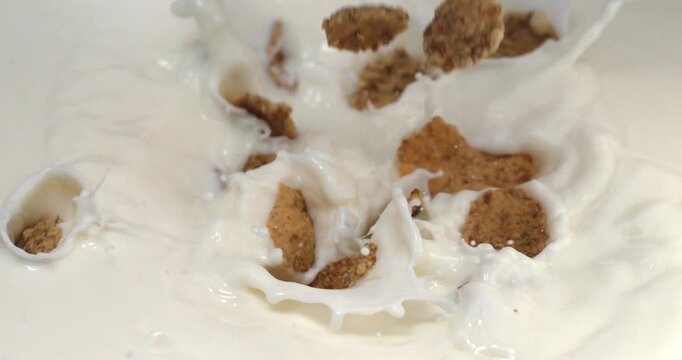 Cereal flakes falling into milk with splash in super slow motion 1000 fps