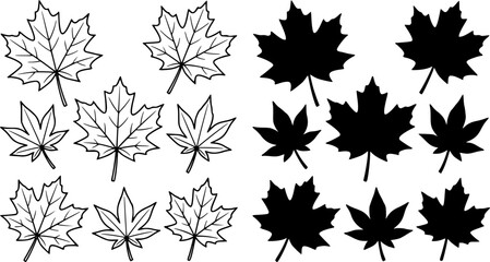 Fototapeta premium Simple Line Drawings outline of Maple Leaves, Black Silhouettes of vector set Maple Leaves 