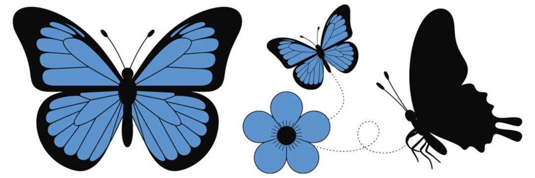 Blue morpho butterfly silhouettes featuring flying butterfly shapes, spring flowers, elegant garden nature elements, decorative artwork, and vector illustration.