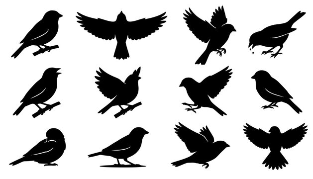 Black Sparrow Silhouette Vector Bundle with Dynamic Flying Bird Poses
