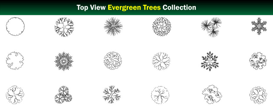 Top View Evergreen Trees CAD Collection Conifer Canopies, Pine Trees, Evergreen Landscape Symbols and Architectural Tree Blocks &ndash; CAD Block Set Top View, Clean Thin Line Architectural Style