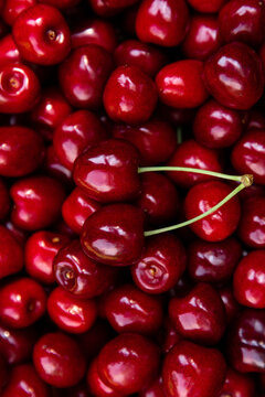 Fresh organic cherries full frame background with copy space concept