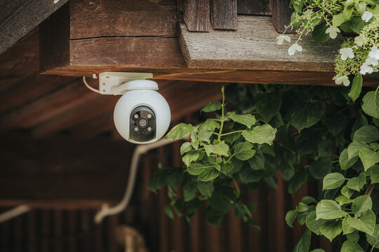 Security camera mounted on wooden eaves with green foliage surrounding it, capturing outdoor surveillance in a residential setting
