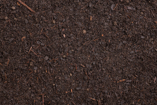 Fertile soil ready for planting vegetables, flowers or trees, close up background, top view