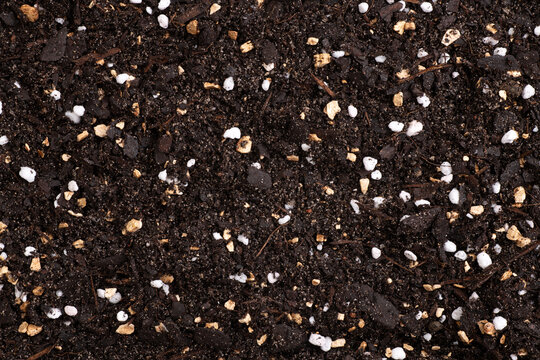 Fertile soil with perlite and vermiculite ready for planting vegetables, flowers or trees, close up,  top view