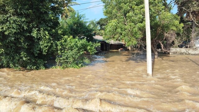 Severe flood water inundating a residential area with trees and buildings in a natural disaster setting