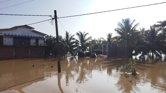 Severe flood water submerging a residential street and tropical garden landscape