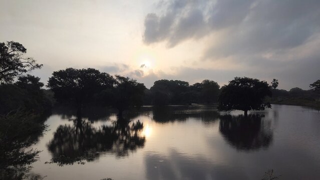 Serene lake at sunset with trees reflected in calm water