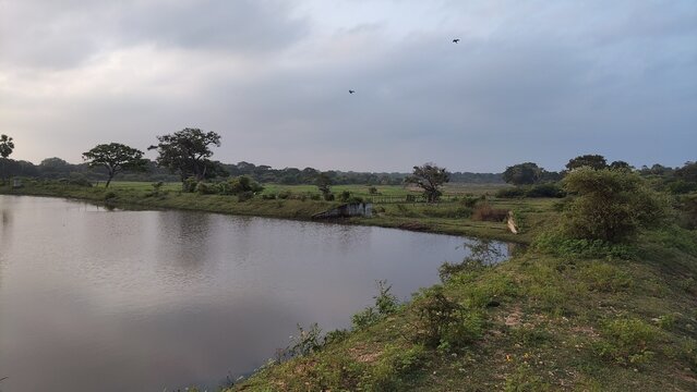 Serene landscape with a pond surrounded by lush greenery under a cloudy sky