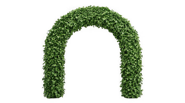 Green abstract arch shape in vector style