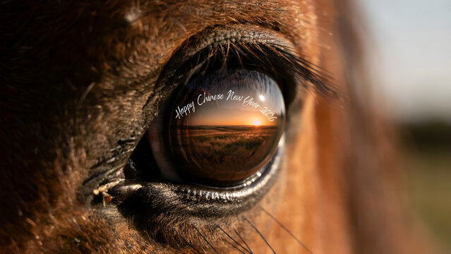 Close up of a horse eye reflecting a sunset landscape with text overlay saying happy chinese new year 2026 in a soft script font style