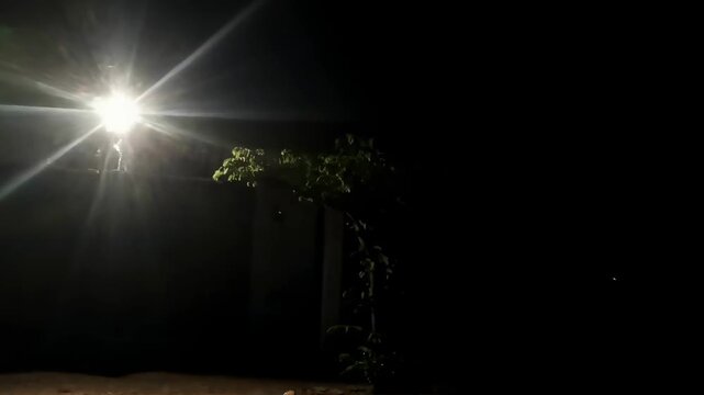 Bright Light Illuminating Dark Night with Silhouetted Tree and Wall