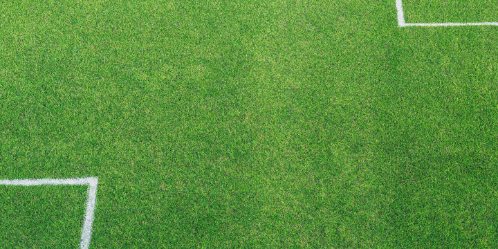 Aerial view of green grass field with white boundary lines sports ground texture lawn turf