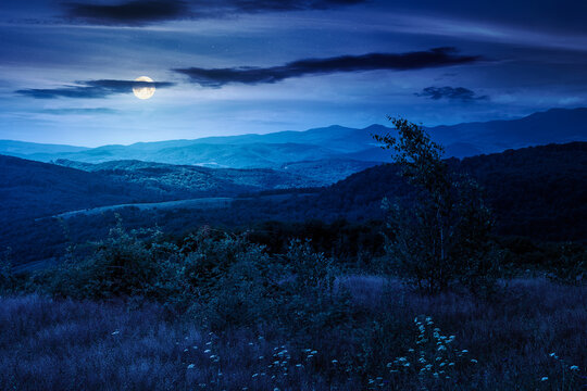 tree on a field in mountain landscape at night. full moon over green countryside of ukraine in summer. cloudy weather. carpathian landscape in dappled light. mysterious carpathian highland