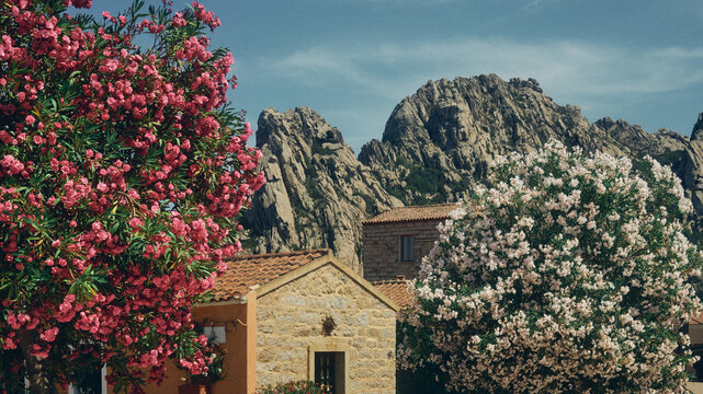 house in the mountains of san pantaleo in sardinia
