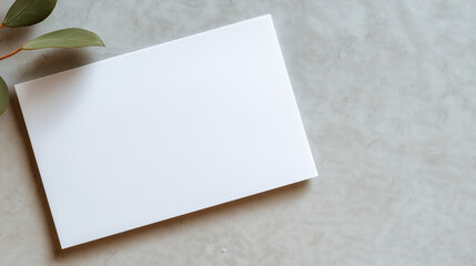 Fototapeta premium Blank Card with Eucalyptus Leaf: A clean, white blank card sits on a textured gray surface, accented by a single eucalyptus leaf, offering a serene and minimalist backdrop for your message.