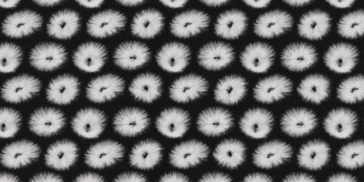 Dandelion seed head pattern monochrome floral ornament on a black background dispersal puffball blowball flower