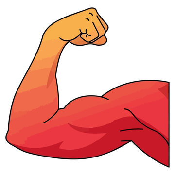 Strong muscular human arm flexing a bicep showing power and fitness in a vibrant artistic vector style illustration with bold outlines on transparent background