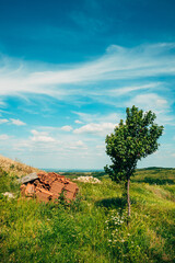 Obraz premium Lonely cherry tree in sunny countryside landscape with blue sky and pile of terracotta roof tiles